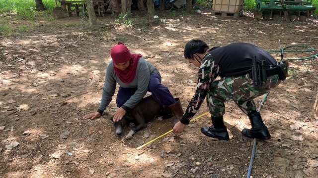 ตื่นรอยเท้าเสือแจ้งเจ้าหน้าที่ตรวจสอบ