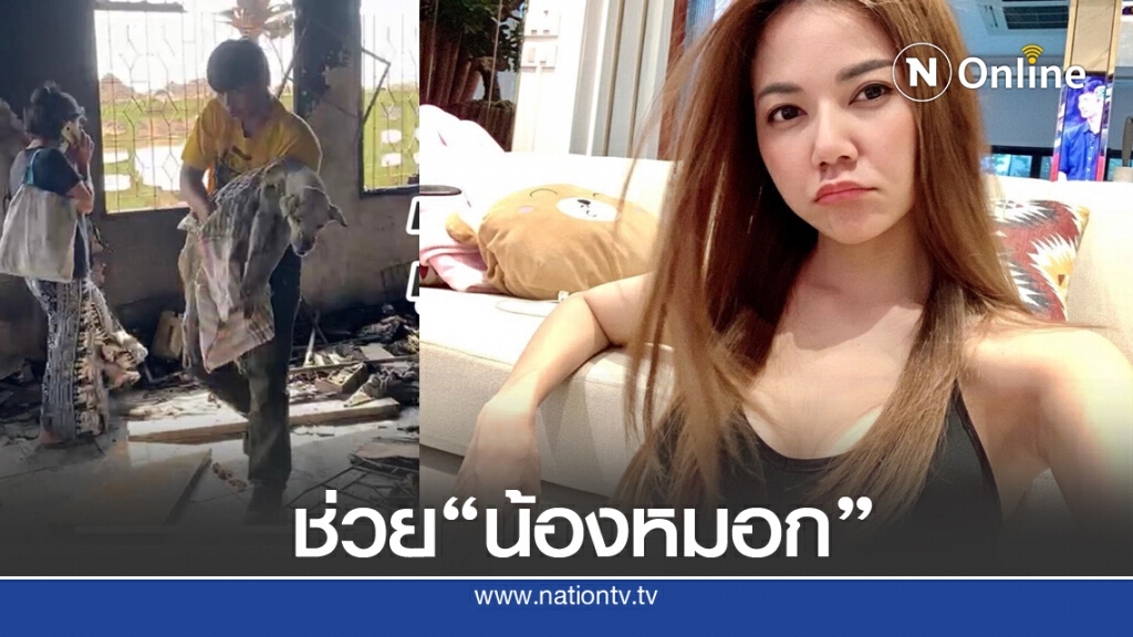 "จ๊ะ อาร์สยาม" ขอจ่ายค่ารักษา "น้องหมอก" สุนัขผู้ซื่อสัตย์ เหตุท่อก๊าซระเบิด "จ๊ะ อาร์สยาม" ขอจ่ายค่ารักษา "น้องหมอก" สุนัขผู้ซื่อสัตย์ เหตุท่อก๊าซระเบิด