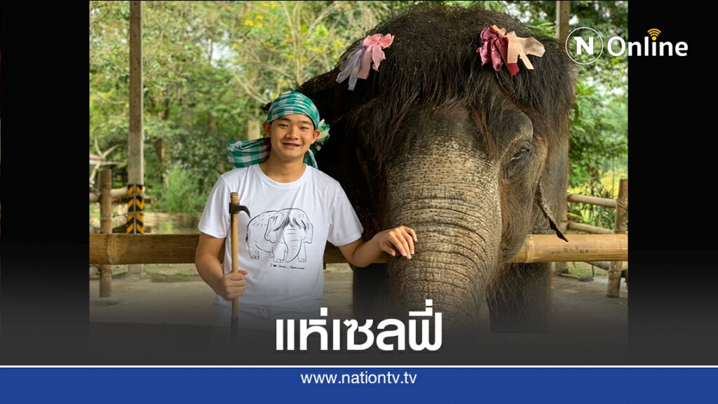 นักท่องเที่ยวแห่เซลฟี่ "คุณยายบุญมา"ช้างขวัญใจคนไทย