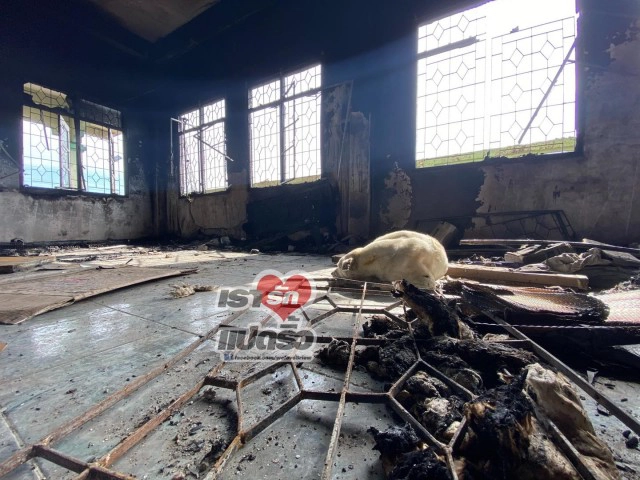 "จ๊ะ อาร์สยาม" ขอจ่ายค่ารักษา "น้องหมอก" สุนัขผู้ซื่อสัตย์ เหตุท่อก๊าซระเบิด