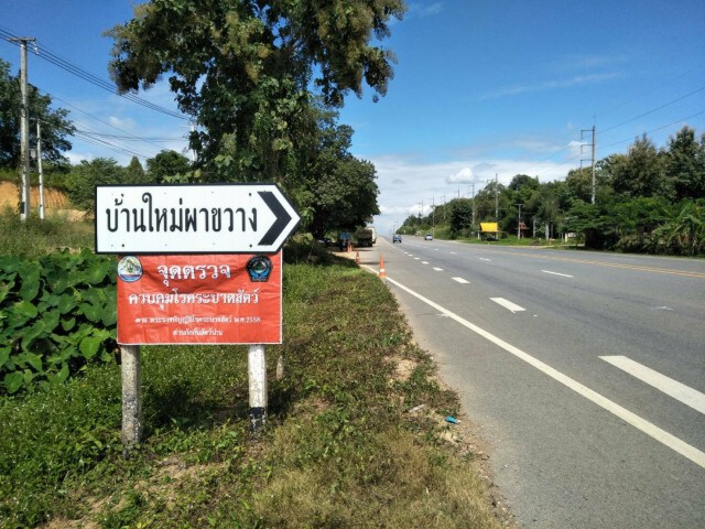 "พีอาร์อาร์เอส"ระบาดน่าน-หมูตายเพียบ