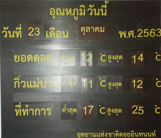 นทท.นับพันแห่สัมผัสหนาวบนดอยอินทนนท์