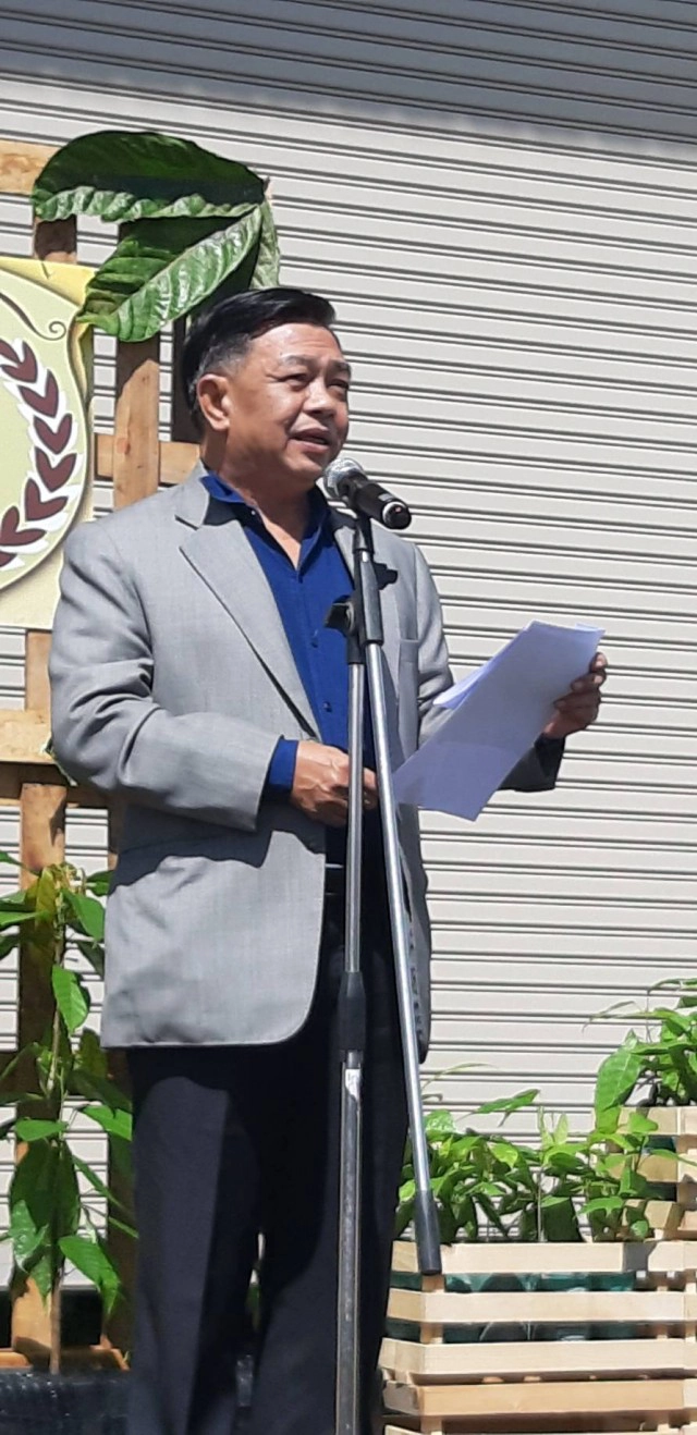 จับตาพืชเศรษฐกิจตัวใหม่ "โกโก้ไทย"