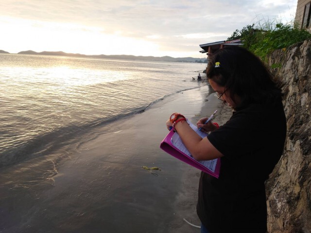 กรมทะเลเร่งตรวจสอบ "ปลิงทะเล" ลอยเกลื่อนหาดจันทบุรี