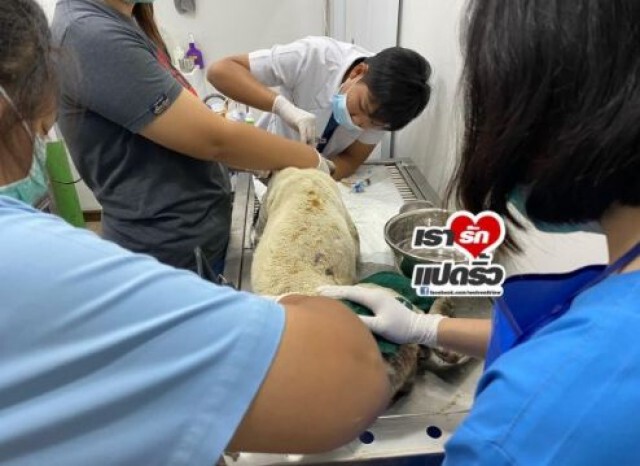 ทำอะไรก็ผิด? "จ๊ะ อาร์สยาม" ตัดพ้อ โดนดราม่าสร้างภาพช่วยค่ารักษาพยาบาล "น้องหมอก"