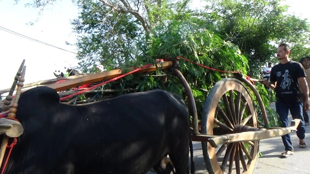 ฮือฮา! งานแต่งลูกสาวอาจารย์สักยันต์ชื่อดังของจังหวัดอ่างทอง