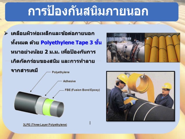 ปตท.เร่งหาสาเหตุและเยียวยาผู้ประสบภัย ย้ำ การวางท่อแก๊สเป็นไปตามมาตรฐานสากล