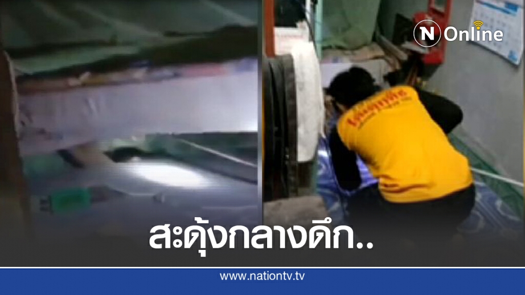 สะดุ้ง..งูเห่าโผล่ใต้เตียงนอนกลางดึก