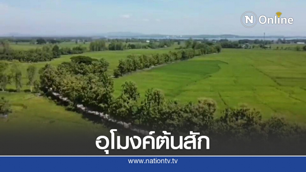 ชวนลอดอุโมงค์ต้นสักรับลมหนาว