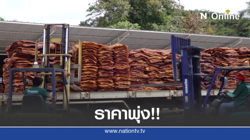 ราคายางแผ่นพุ่ง 72.50 บาทต่อกิโลกรัม