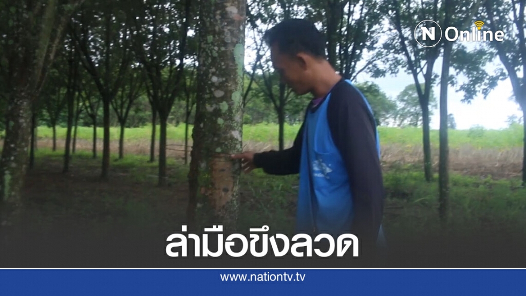 แจ้งตำรวจล่ามือขึงลวดกลางถนน แจ้งตำรวจล่ามือขึงลวดกลางถนน