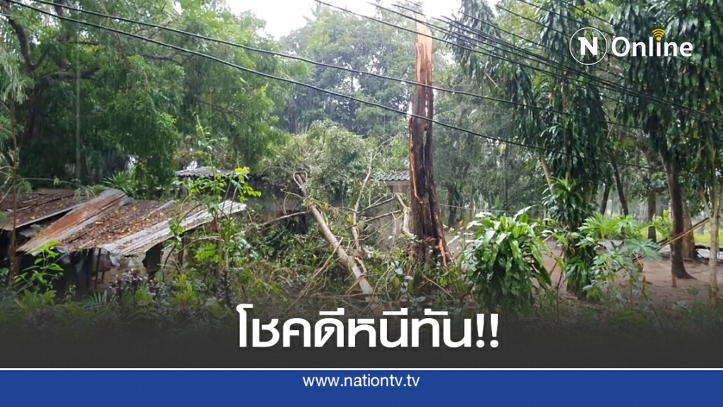 พายุฝนถล่ม ต้นไม้ล้มทับบ้าน