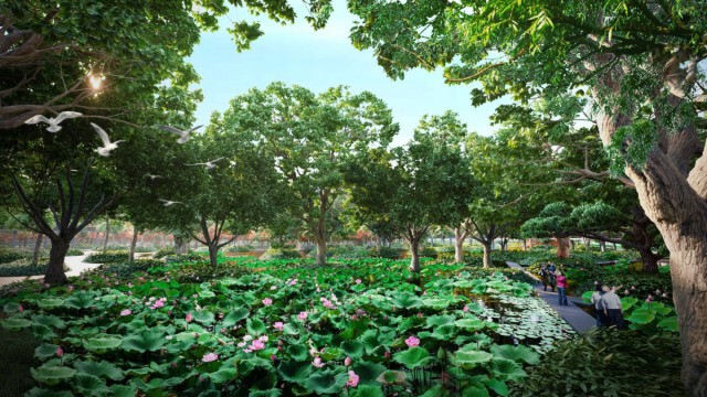 ธนารักษ์-กองทัพบก เนรมิต 'สวนป่าเบญจกิติ' พื้นที่สีเขียวใจกลางกรุง