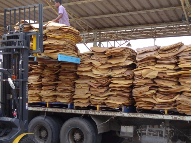 ราคายางแผ่นพุ่ง 72.50 บาทต่อกิโลกรัม