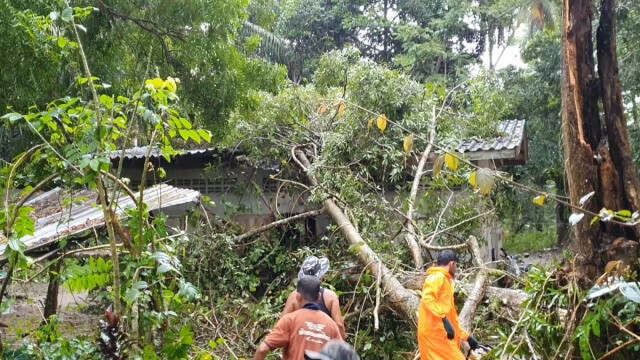พายุฝนถล่ม ต้นไม้ล้มทับบ้าน