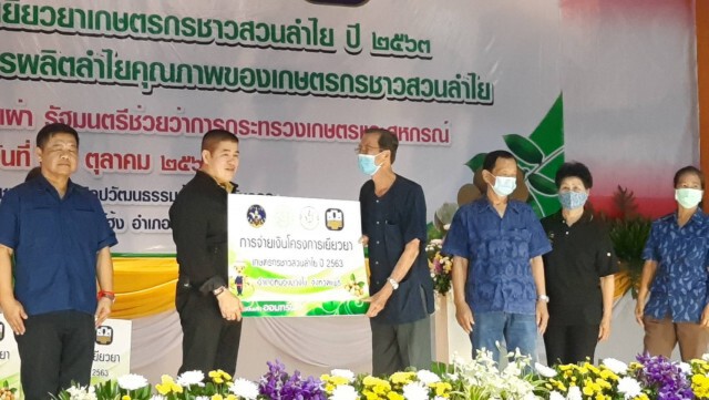 เยียวยาชาวสวนลำไยเมืองแพร่-รับพิษโควิด19