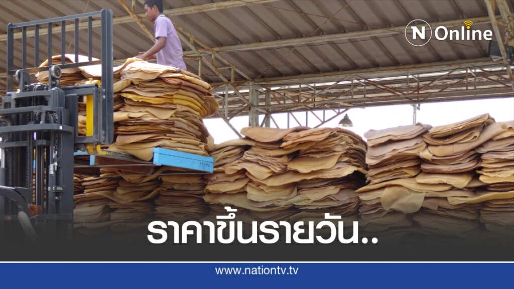 ลุ้นราคายางแผ่นใกล้แตะ 80 บาทแล้ว