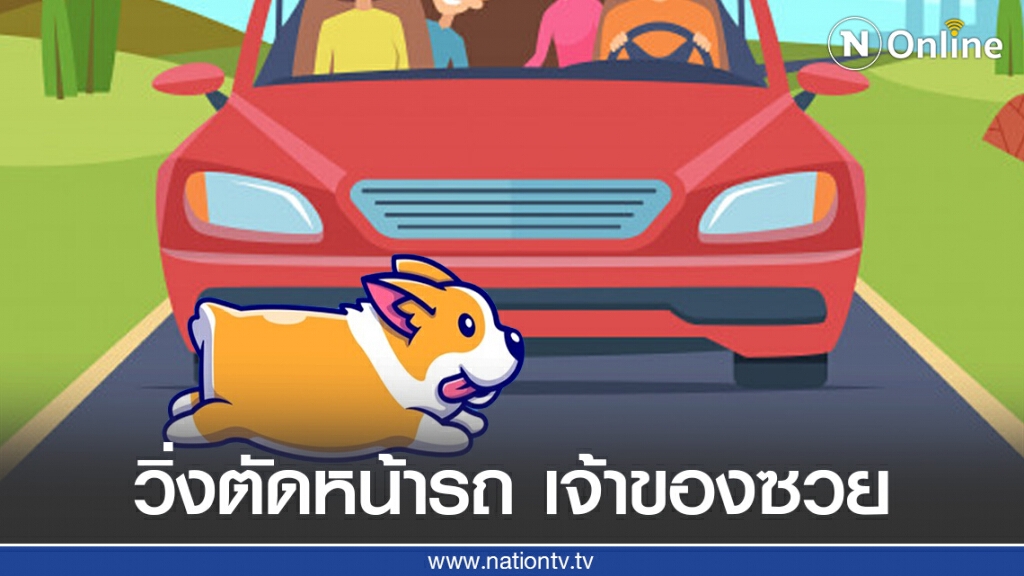 ทนายรัชพล ชี้ หมาวิ่งตัดหน้ารถ เจ้าของหมาต้องรับผิดชอบ!