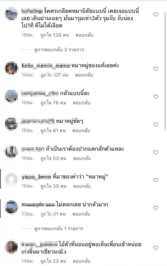 หนุ่มเดินคุยโทรศัพท์ เกิดเหตุไม่คาดฝันไม่ทันตั้งตัวเกือบโดนรุมจนได้