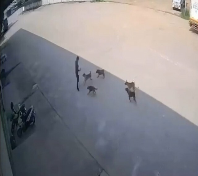 หนุ่มเดินคุยโทรศัพท์ เกิดเหตุไม่คาดฝันไม่ทันตั้งตัวเกือบโดนรุมจนได้