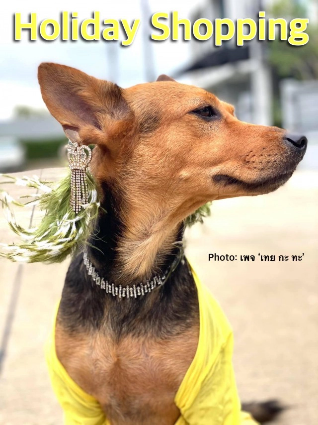 ส่องทุกลุคสุดปัง ที่ไม่ซ้ำของ "มาดามทะ"