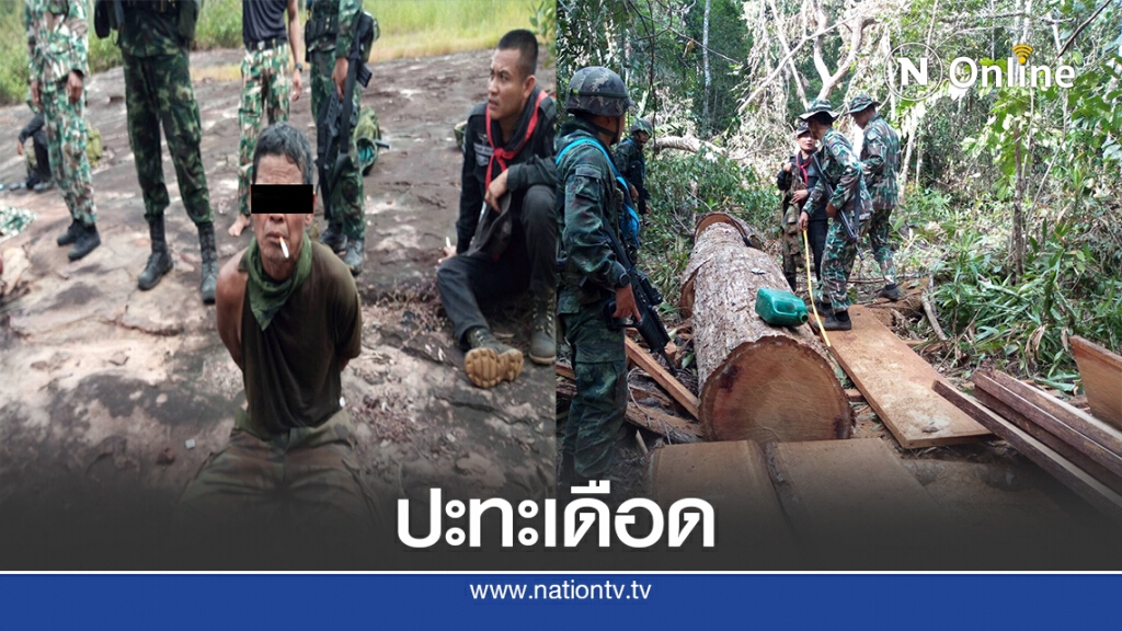 ปะทะเดือดขบวนการตัดไม้ ทหารยศร.ท.ถูกยิงเจ็บ