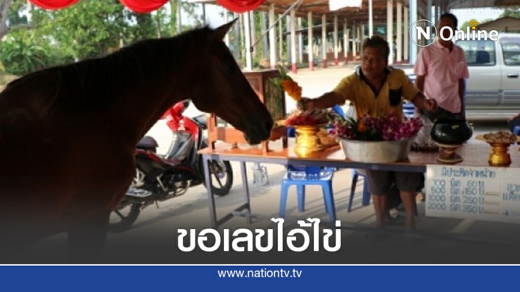 ฮือฮา!! เจ้าสงกรานต์ม้านำโชค ขอเลข "ไอ้ไข่" วัดไทรย์ ฮือฮา!! เจ้าสงกรานต์ม้านำโชค ขอเลข "ไอ้ไข่" วัดไทรย์