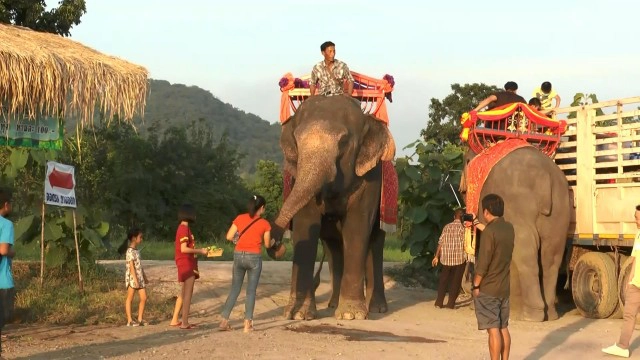 หนุ่มใหญ่วัย 50 ปีชาวอุทัยธานี พลิกฟื้นพื้นที่นาบรรพบุรุษให้เป็นแหล่งท่องเที่ยวของชุมชน