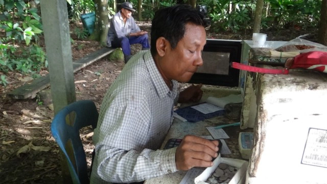 ชาวสวนยางดีใจราคายางพุ่งสูงขึ้น