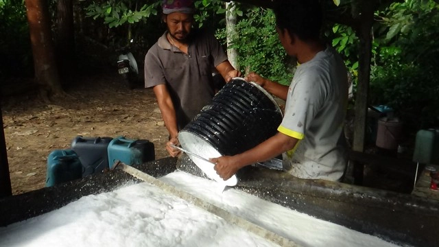 ชาวสวนยางดีใจราคายางพุ่งสูงขึ้น