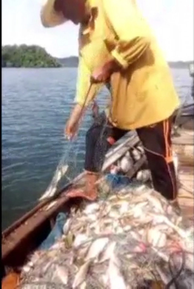 วางอวนครั้งเดียวได้ปลาเกือบ 100 กก.