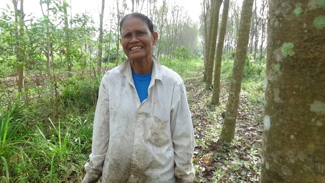 ชาวสวนยางดีใจราคายางพุ่งสูงขึ้น