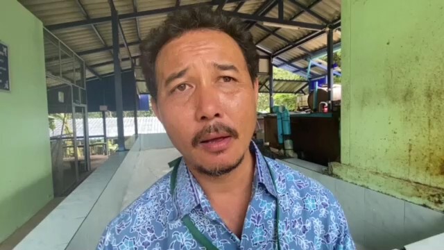 โรคใบร่วงยางพาราปีนี้เกิน 1 ล้านไร่