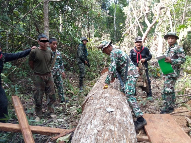 ปะทะเดือดขบวนการตัดไม้ ทหารยศร.ท.ถูกยิงเจ็บ