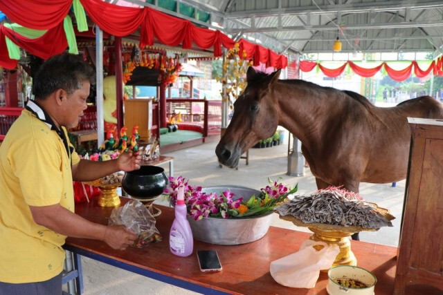 ฮือฮา!! เจ้าสงกรานต์ม้านำโชค ขอเลข "ไอ้ไข่" วัดไทรย์