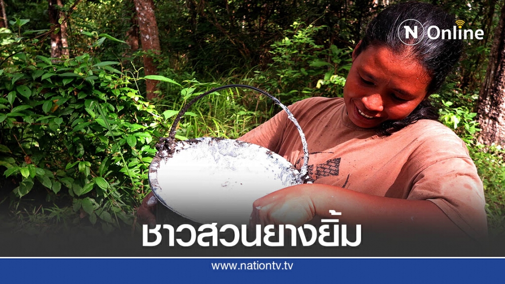 ราคายางพาราตุลาคมดีดตัวต่อเนื่อง-คาดบวกยาวจนสิ้นปี