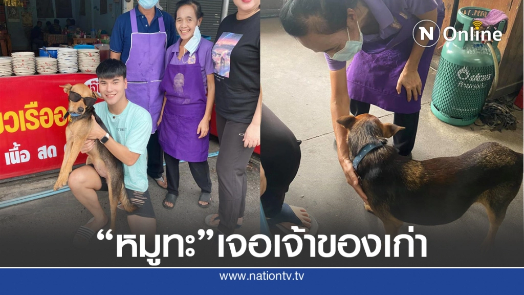 "น้องหมูทะ" เจอเจ้าของเก่า วอนคนอ้างเป็นเจ้าของ ให้หยุดทวงคืนหมูทะ