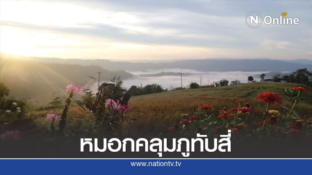 ชมหมอกสวยงามบนเนินภูทับสี่ ชมหมอกสวยงามบนเนินภูทับสี่