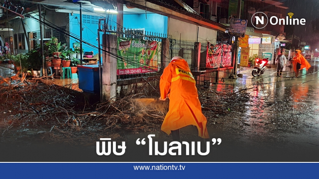 "โมลาเบ" ทำพะยูงหักทับรถ เกี่ยวสายไฟ จยย. ล้มบาดเจ็บ "โมลาเบ" ทำพะยูงหักทับรถ เกี่ยวสายไฟ จยย. ล้มบาดเจ็บ