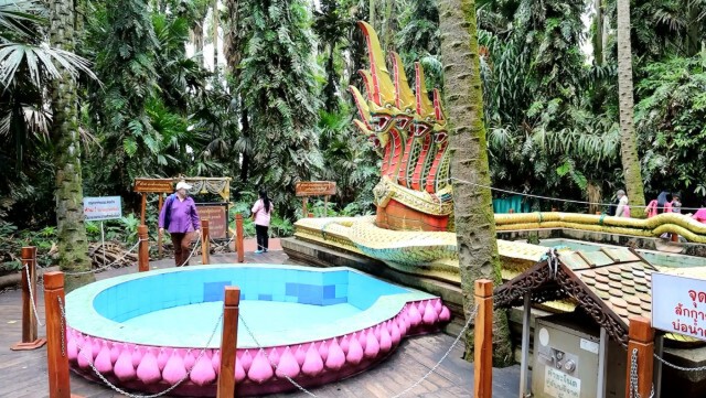 ฮือฮา!! นทท.แห่ถ่ายรูปงูเขียวพระอินทร์เลื้อยจั่วพญานาคคำชะโนด