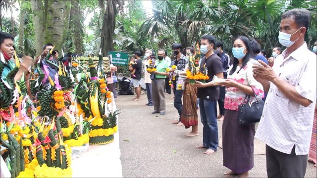 คอหวยฮือฮา!! "งูเขียวพระอินทร์" เกี้ยวจั่วพญานาคศาลปู่ศรีสุทโธ แห่ตีเลขเด็ด 1 พ.ย.นี้