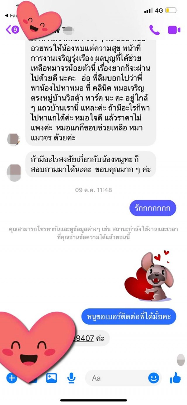"น้องหมูทะ" เจอเจ้าของเก่า วอนคนอ้างเป็นเจ้าของ ให้หยุดทวงคืนหมูทะ