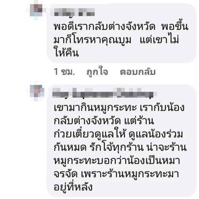 "น้องหมูทะ" เจอเจ้าของเก่า วอนคนอ้างเป็นเจ้าของ ให้หยุดทวงคืนหมูทะ