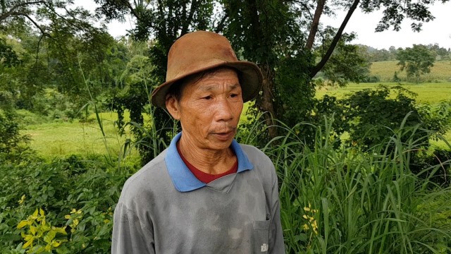 อาถรรพ์! "แม่ตะเคียน"เข้าฝัน-ขอนำตอไปไว้วัด