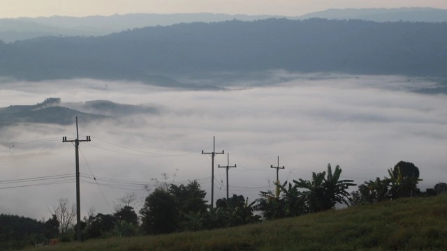 ชมหมอกสวยงามบนเนินภูทับสี่