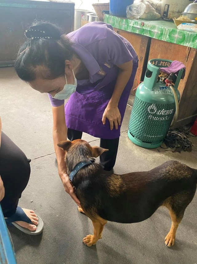 "น้องหมูทะ" เจอเจ้าของเก่า วอนคนอ้างเป็นเจ้าของ ให้หยุดทวงคืนหมูทะ