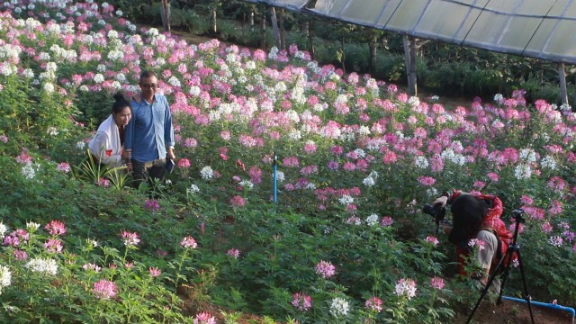 ชมหมอกสวยงามบนเนินภูทับสี่