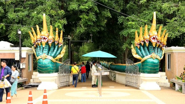 ฮือฮา!! นทท.แห่ถ่ายรูปงูเขียวพระอินทร์เลื้อยจั่วพญานาคคำชะโนด