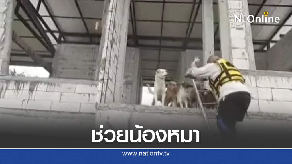 สุดดีใจ กู้ภัยเข้าช่วยน้องหมาหนีน้ำท่วมบนชั้น2