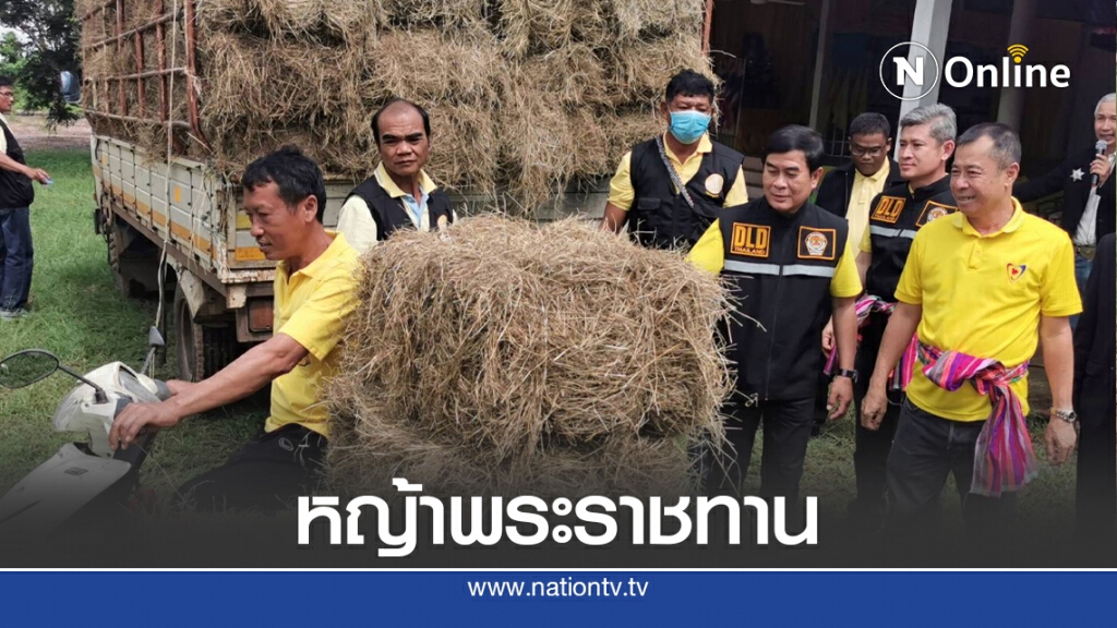 มอบหญ้าอาหารสัตว์พระราชทานช่วยเกษตรกรประสบภัยน้ำท่วม